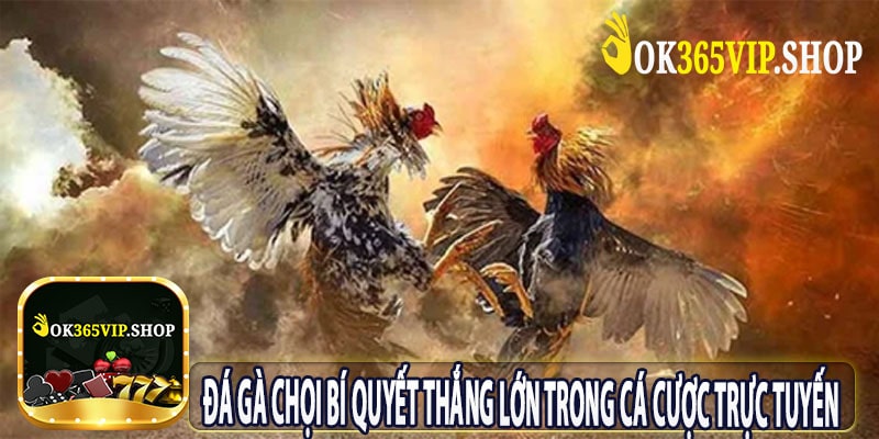Đá Gà Chọi Bí Quyết Thắng Lớn Trong Cá Cược Trực Tuyến