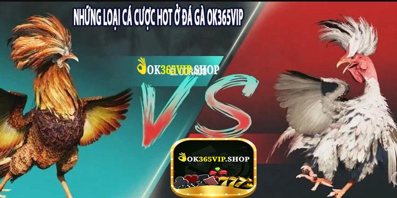 Những Loại Cá Cược Hot Ở Đá Gà OK365VIP