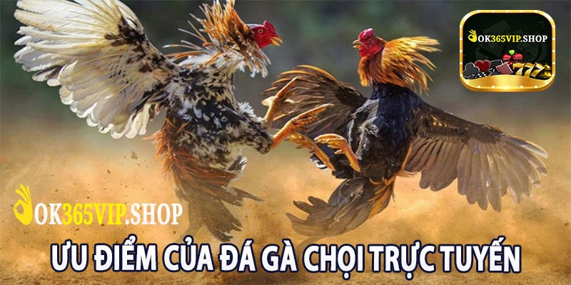 Ưu Điểm Của Đá Gà Chọi Trực Tuyến